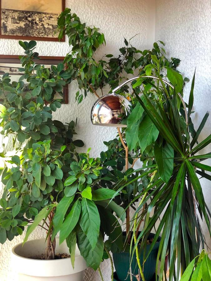 Sokolov Apartment Σμεντέρεβο Εξωτερικό φωτογραφία